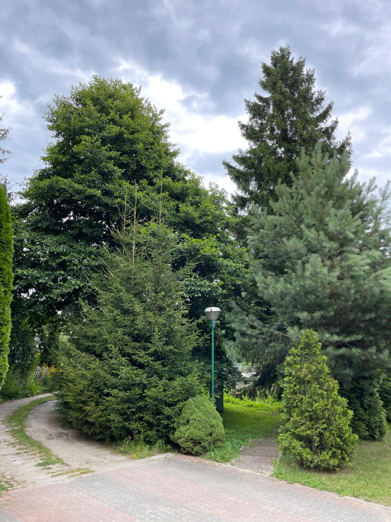 Noclegi-Splywy Bugiem Slawatycze Exterior photo